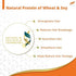 Himalaya Damage Repair Protein Shampoo
