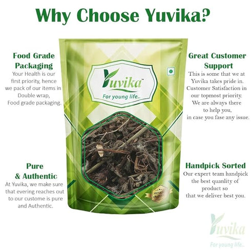 Yuvika Bhringraj Leaves - Bhangra - Eclipta Alba