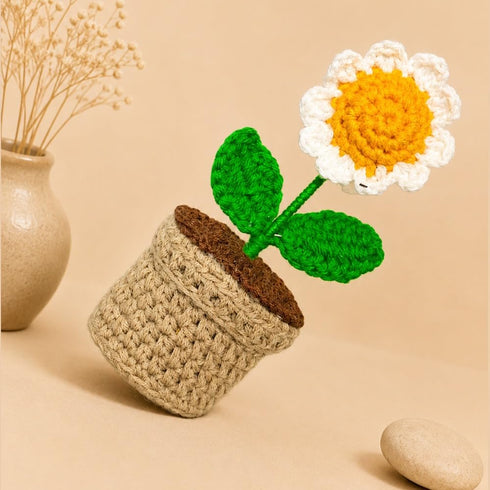 Crochet Daisy Flower Pot