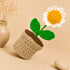 Crochet Daisy Flower Pot