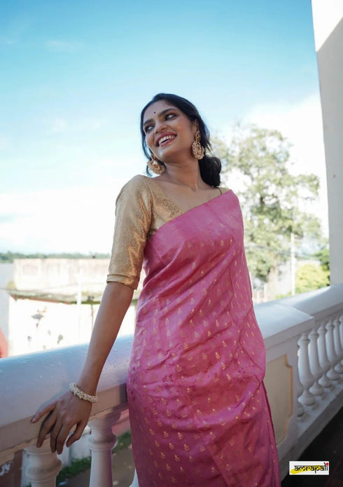 Vasthrlay Cotton Woven Saree
