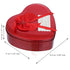 eCraftIndia Heart Shaped Valentines Day Gift Box