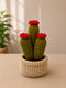 Handmade Crochet Cactus Plant with Flower in Woven Pot