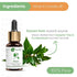 Naturalis Essence of Nature Camphor Essential Oil