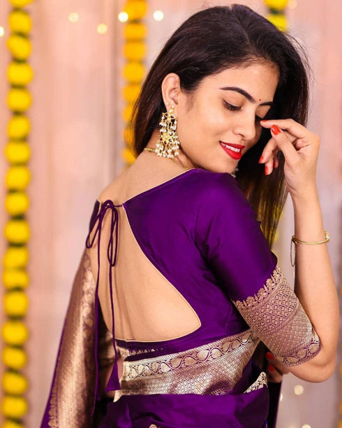 Vasthrlay Banarasi Saree