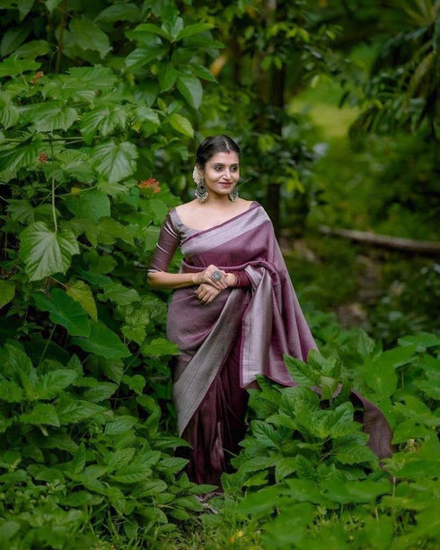 Vasthrlay Banarasi Saree