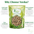 YUVIKA Khubbaji - Malva Sylvestris Linn