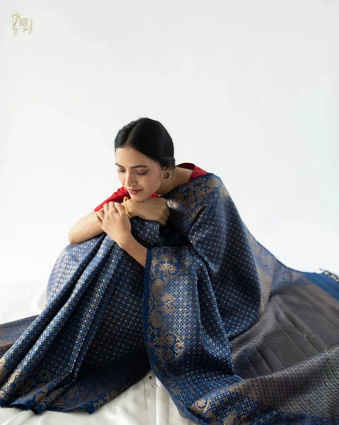 Vasthrlay Banarasi Saree