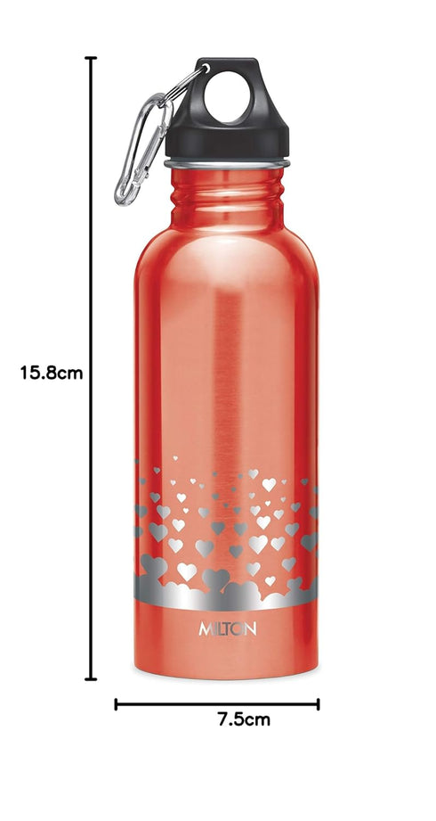 Milton Alive Stainless Steel Bottle- CL Sale