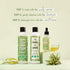 Love Beauty And Planet Tea Tree and Rosemary Scalp Serum
