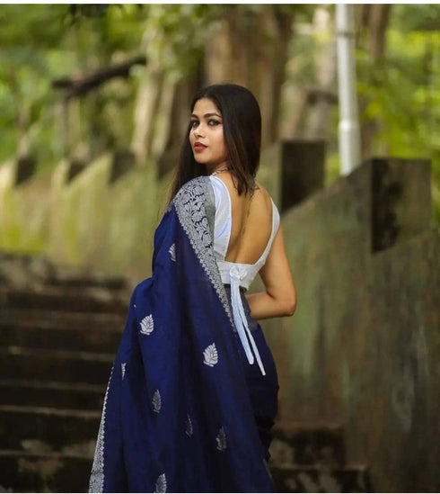 Vasthrlay Banarasi Saree