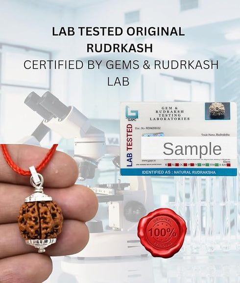 Rudraksh Chain (Big Size) / Rudraksha Mala (Big Size)
