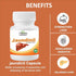 Hashmi Pharmacy Jaundinil Capsule