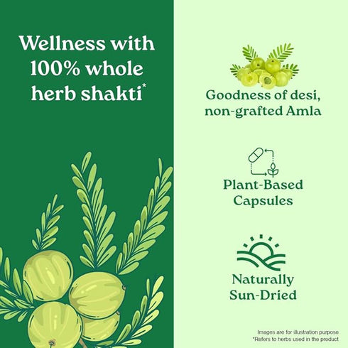 Organic India Amalaki - 60 Veg Capsules