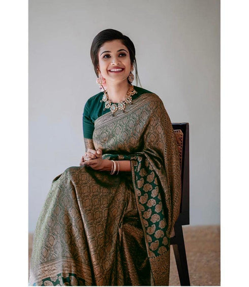Vasthrlay Banarasi Saree