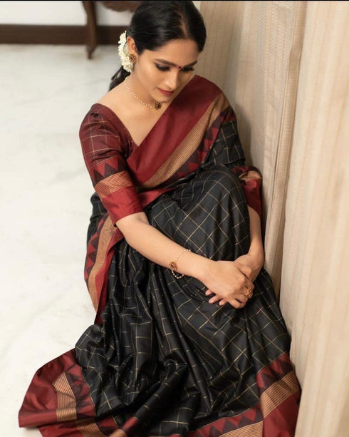 Vasthrlay Banarasi Saree
