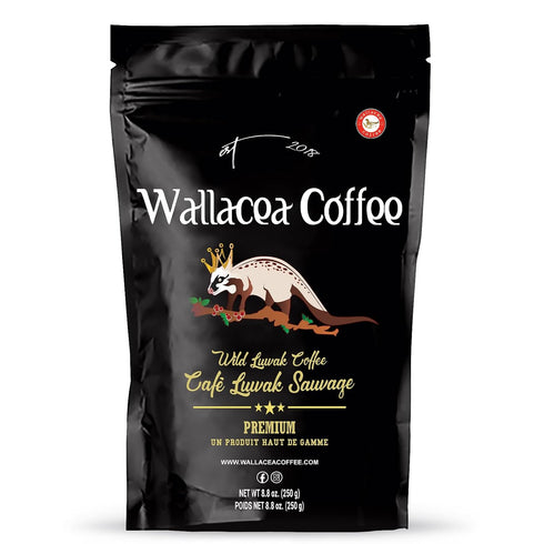 Wallacea Coffee Wild Kopi Luwak Civet Whole Bean Coffee 250g