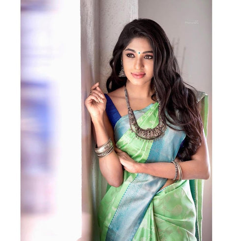 Vasthrlay Light Green Banarasi Saree