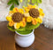 Crochet Flowers Artificial Twin Sunflower with Pot