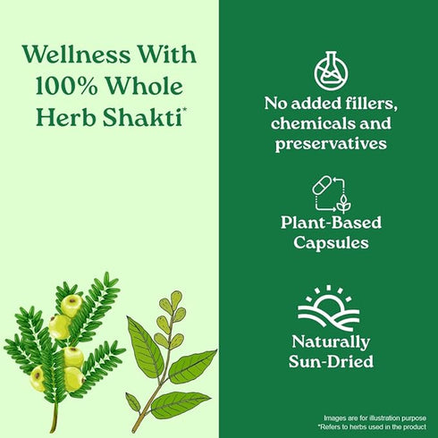 Organic India Triphala Veg Capsule bottle