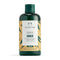 The Body Shop Ginger Anti Dandruff Shampoo