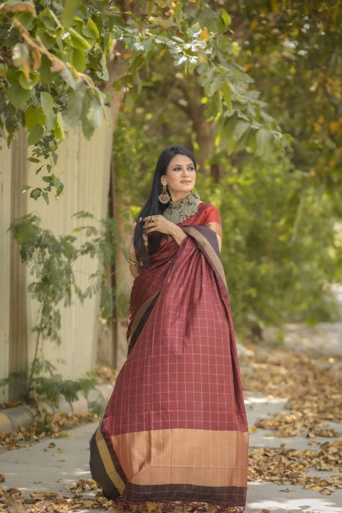 Vasthrlay Banarasi Saree