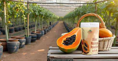 EATERY HARVEST Ripe Papaya Fruit Powder