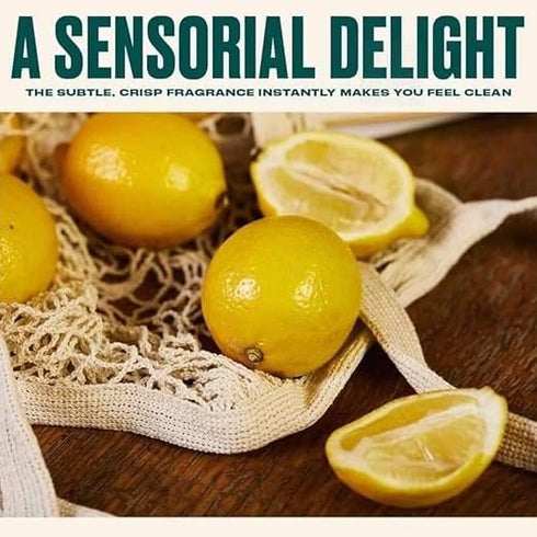 The Body Shop Lemon Purifying Hair & Body Wash