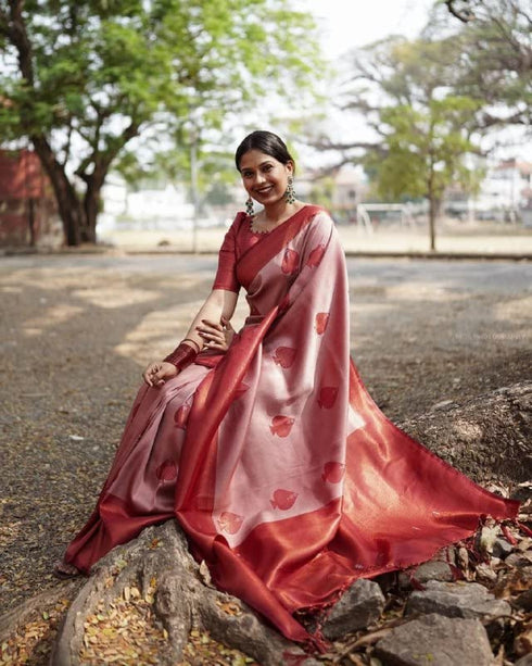 Vasthrlay Banarasi Saree