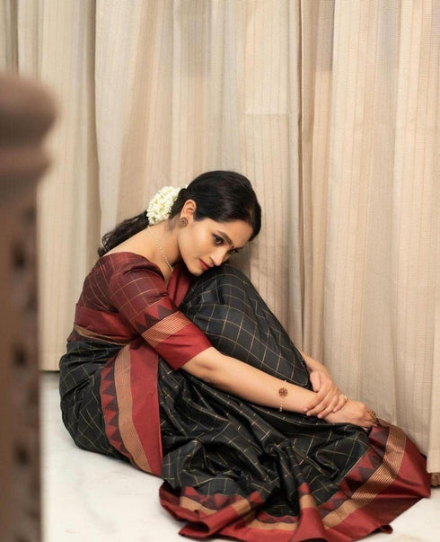 Vasthrlay Banarasi Saree