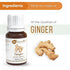 Naturalis Essence of Nature Ginger Essential Oil