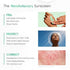 SkinInspired The Green Sunscreen SPF 50+ PA++++