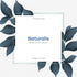 Naturalis Essence Himalayan Pine Needle Essential Oil
