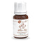 Naturalis Essence of Nature Clove Bud Essential Oil