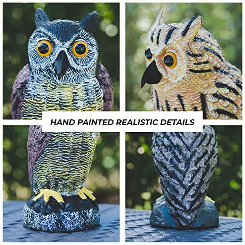 Owl Decoys to Scare Birds Away | Plastic Owls to Scare Birds Away