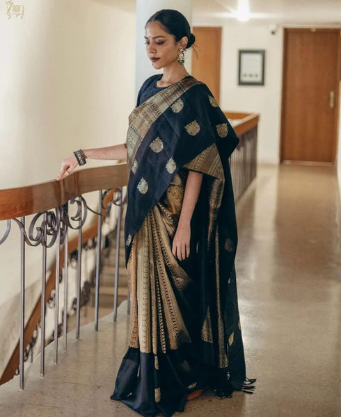 Vasthrlay Kanjivaram Saree