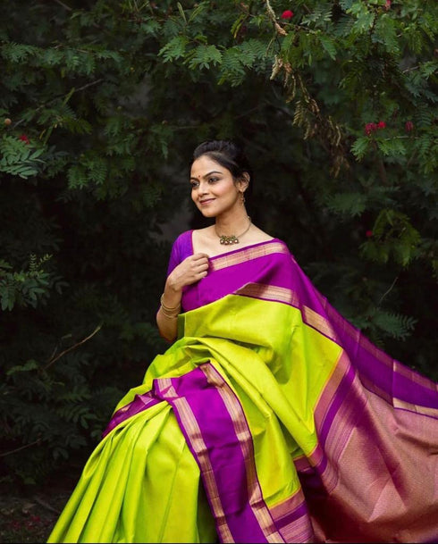 Vasthrlay Kanjivaram Saree