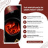 Shesha Ayurveda Red Sandalwood Skin Brightening & Night Repair Cream