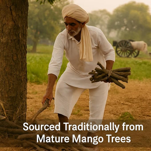 Mango (Aam) Havan Samidha Sticks