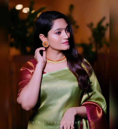 Vasthrlay Banarasi Unstitched Saree
