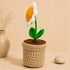 Crochet Daisy Flower Pot