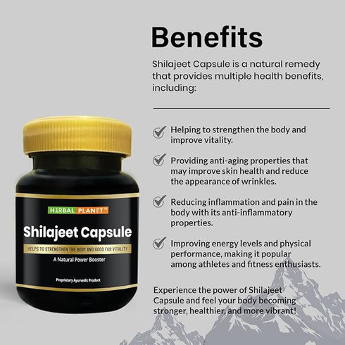 Gurukul Ayurved Pharmacy Shilajit Capsule