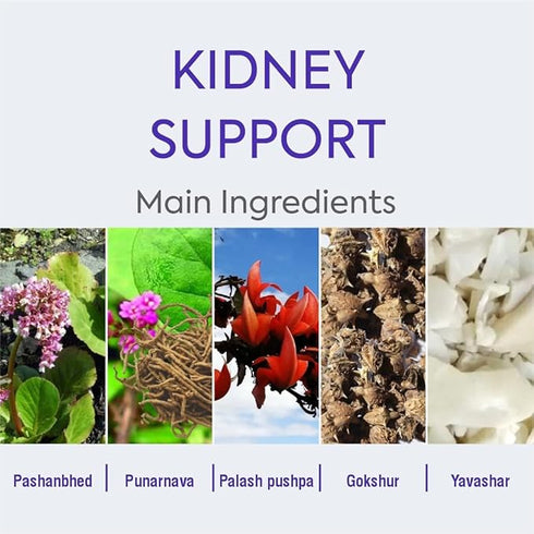 Herbal Hills Ayurveda Stonhills Tablets