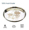 Steel Plate with Laser Design Set of 6 Plates (27 Cm)