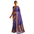 Vasthrlay Meenakari Banarasi Multicolour