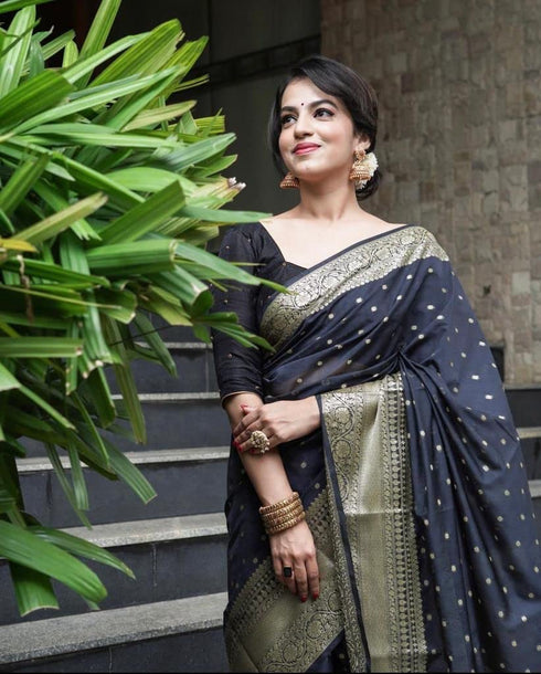 Vasthrlay Black Banarasi Saree