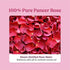 Vilvah Store Rose Water Facial Toner