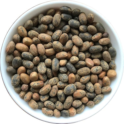Indiana Jamalgota Seeds