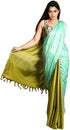 Vasthrlay Handloom Striped Border Blouse
