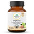 Organic India Triphala Veg Capsule bottle
